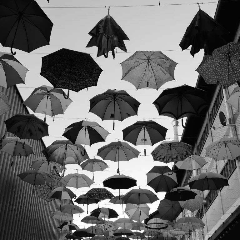 Photo by Martin Ghisletti