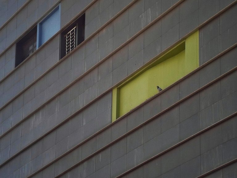 Street photo in Tehran, Iran by Amir Rafiei Mehr