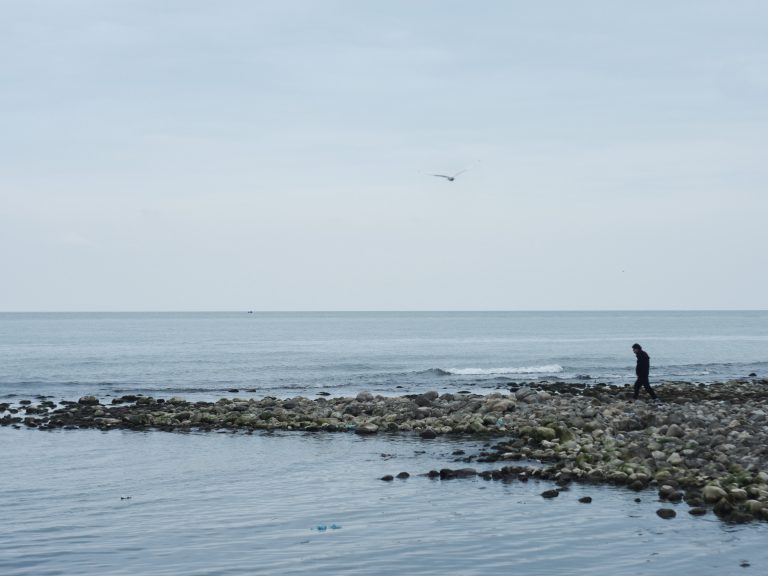 Photo by Amir Rafiei Mehr