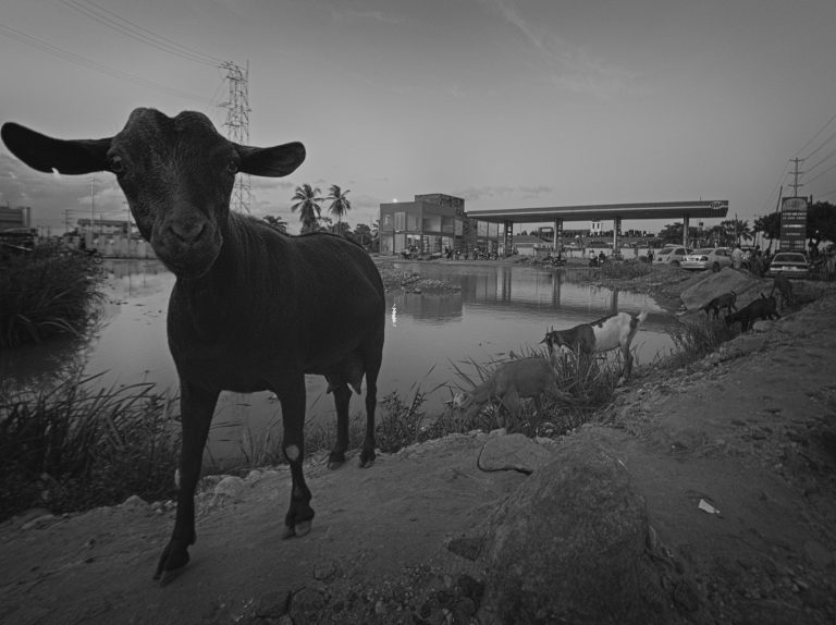 Street photo in Dar es Salaam, Tanzania by Stewart Ayling