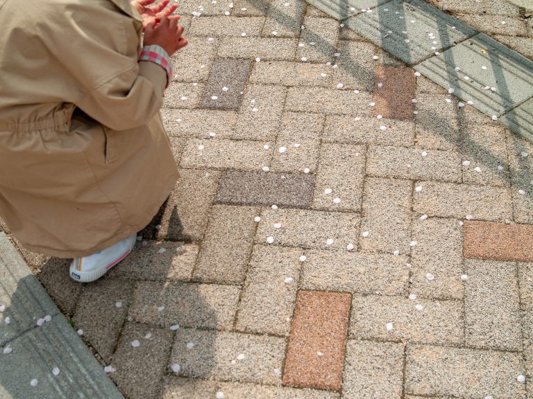 Street photo in Sejong, South Korea by Jvak Cheon