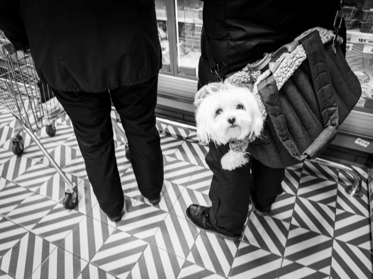 Street photo in Petrozavodsk, Russia by Foma Voz