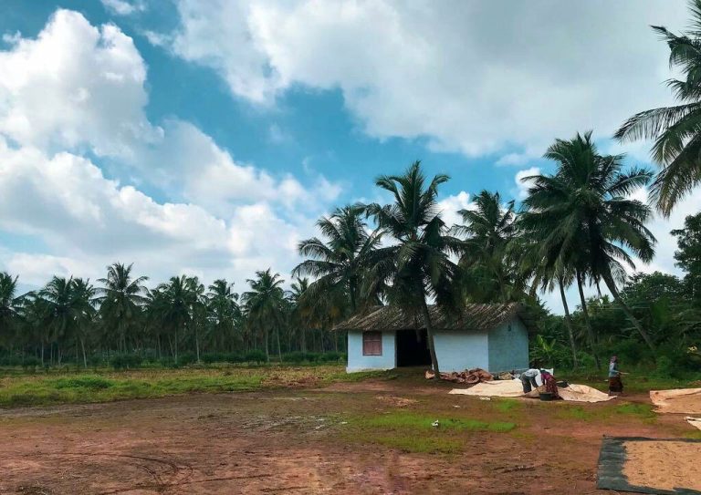 Street photo in Vakkinichalla kallam, India by EM Rajeev