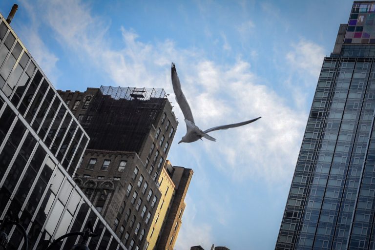 Street photo in New York, United States by Darryl Watton
