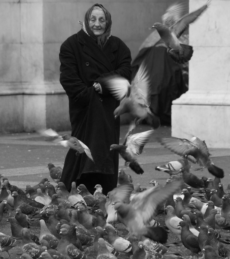 Photo by Peter Horrex