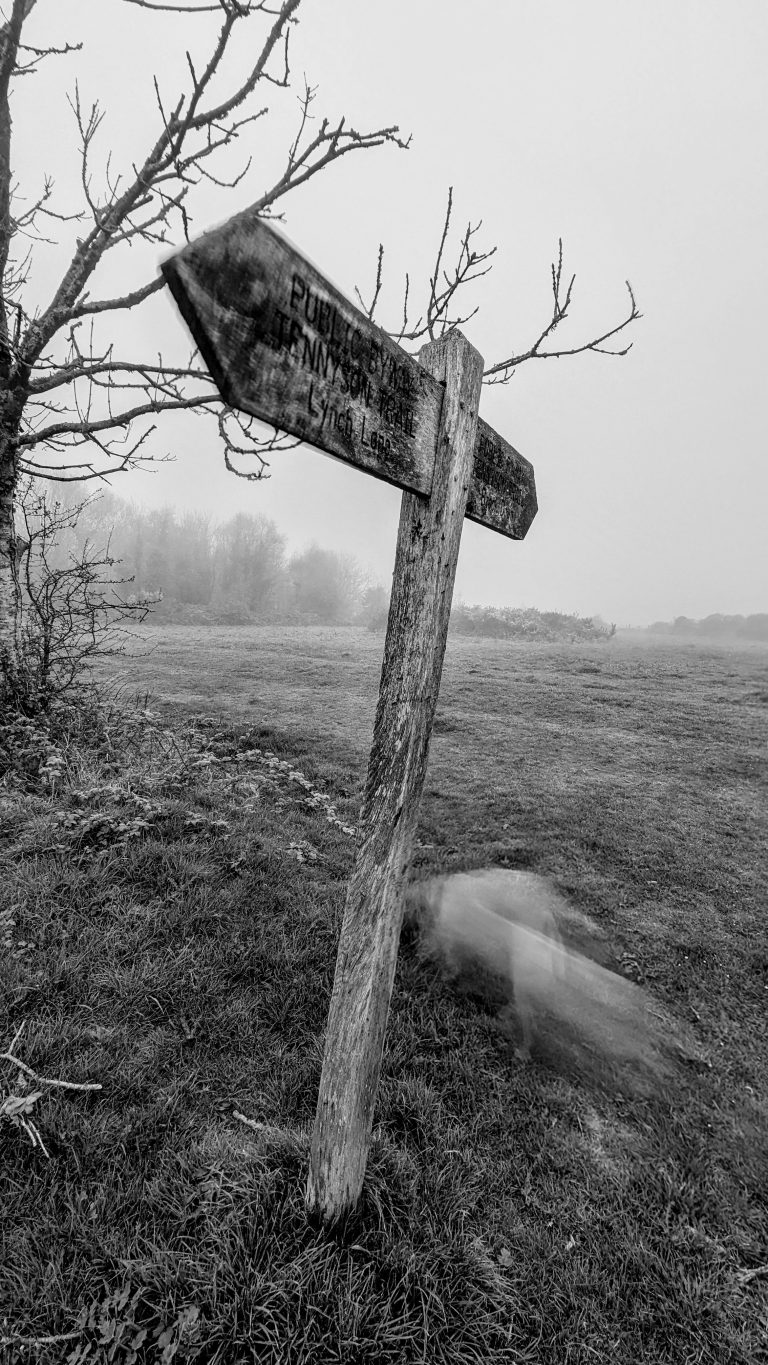 Street photo in Freshwater, United Kingdom by Pete Grammer