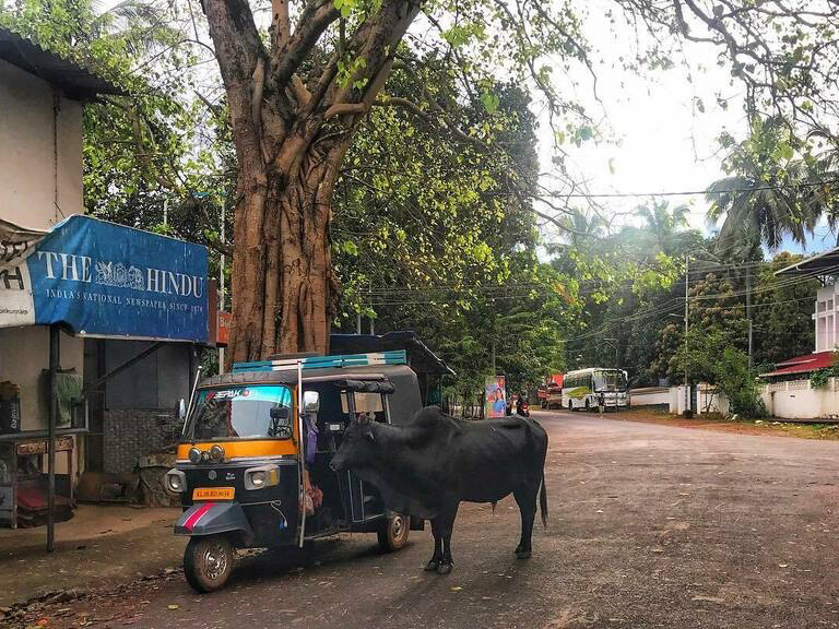Street photo in Ponnani, India by EM Rajeev