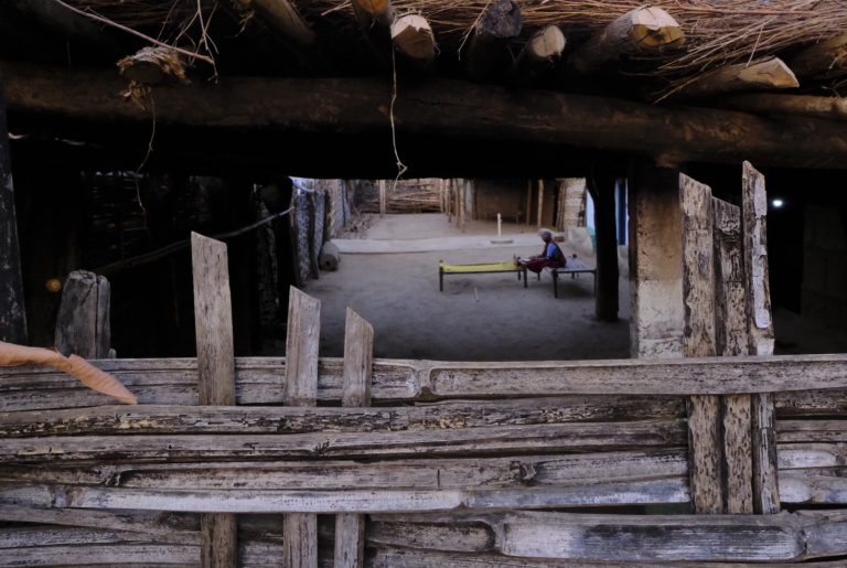 Street photo in Marlawai, India by Tanwir Mir