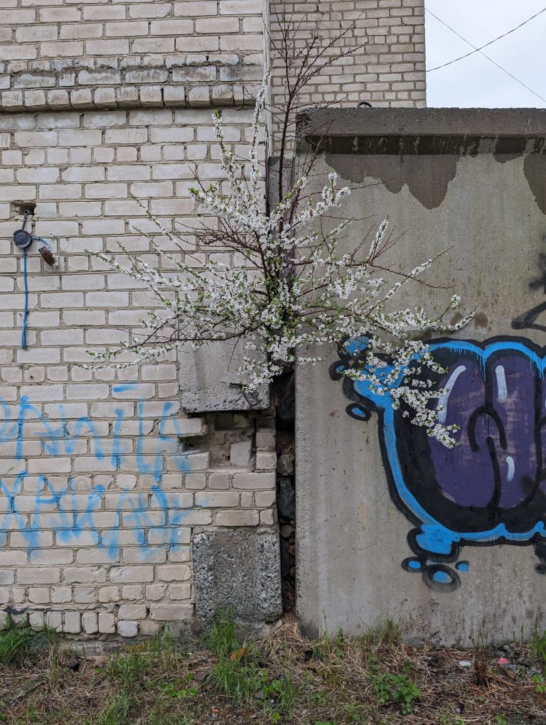 Street photo in Vladivostok, Russia by Kostya Shah