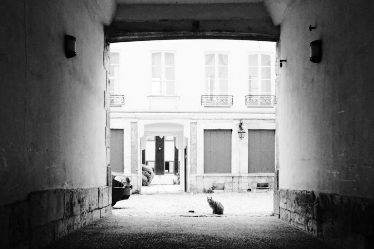 Street photo in Rouen, France by Patrick Kurz