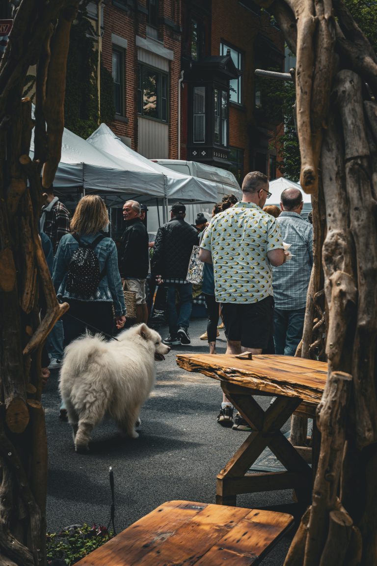 Street photo in Troy, United States by Anirban Acharya