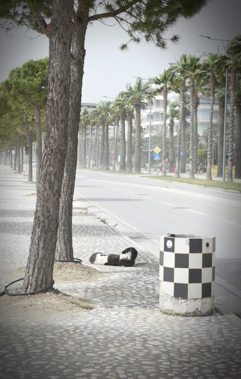 Street photo in Vlorë, Albania by Rodrigo Marcotich