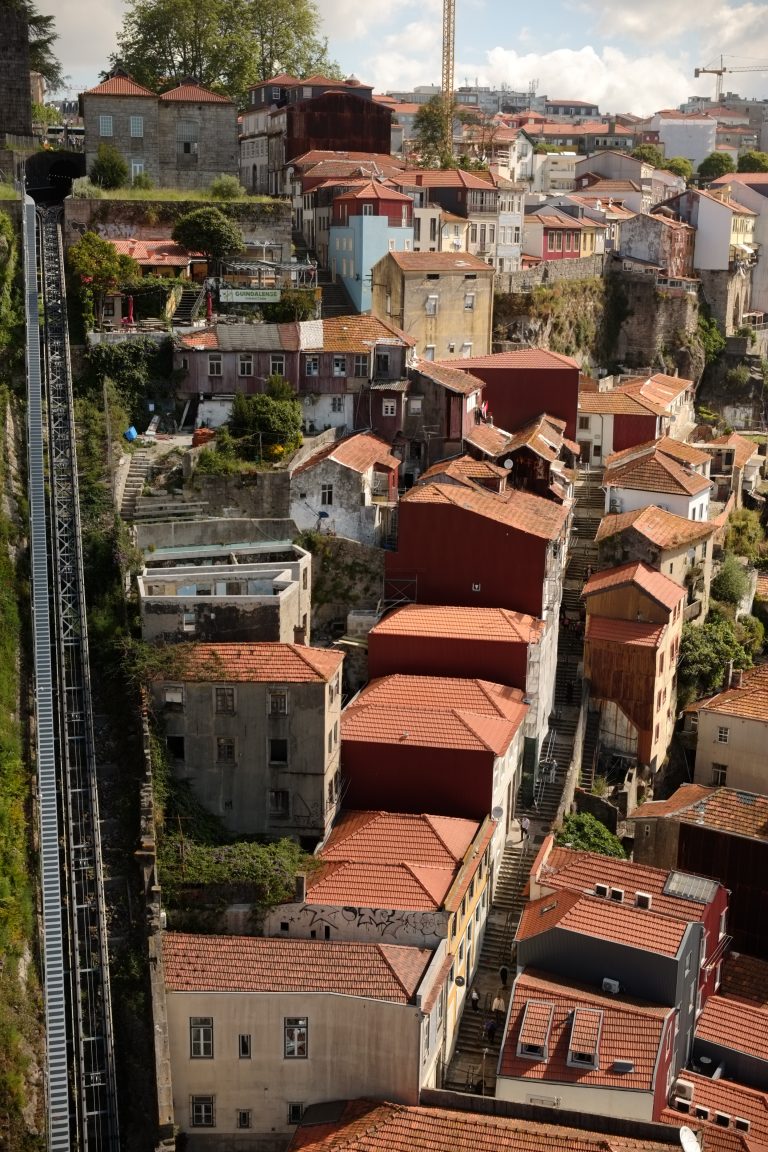 Photo by Pedro Ribeiro De Almeida