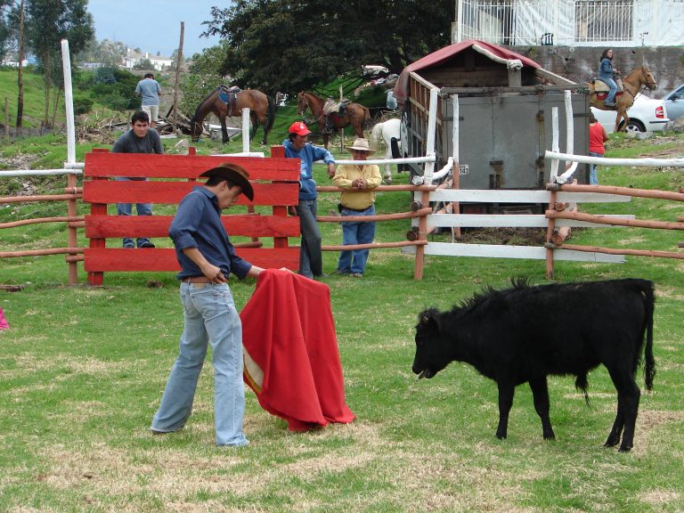Street photo in Sangolqui, Ecuador by Ramiro Ron