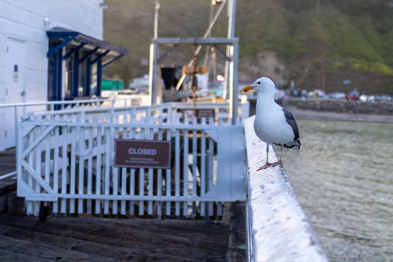 Street photo in Malibu, United States by Dan Lawyer