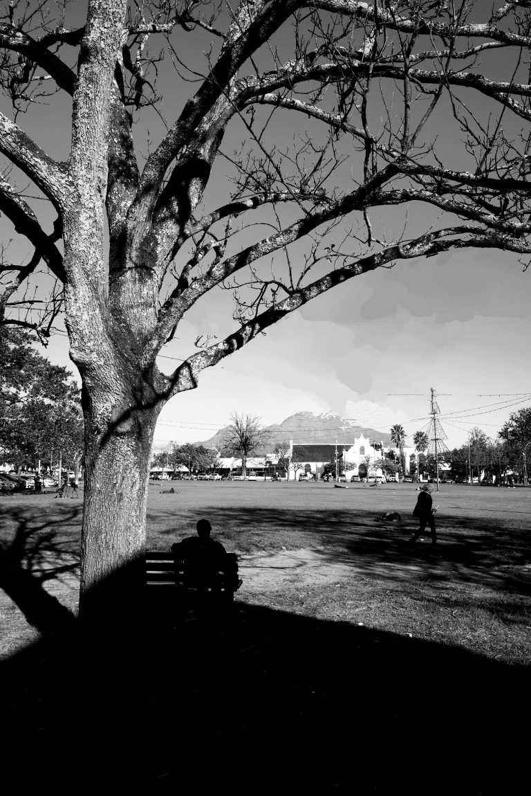 Street photo in Stellenbosch, South Africa by Rob Ridout