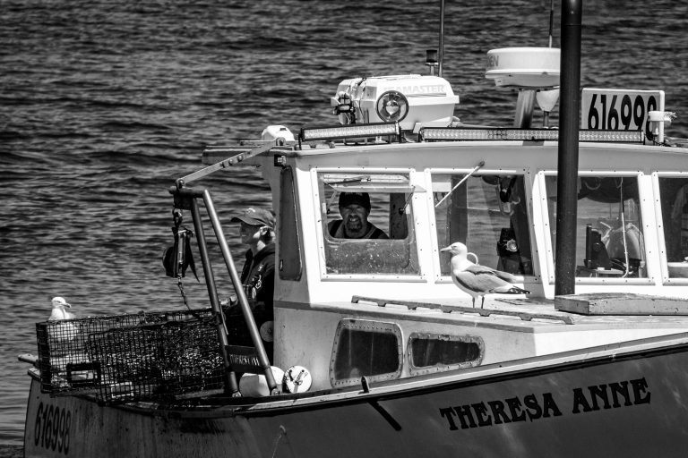 Street photo in Bar Harbor, United States by Leo Crespo