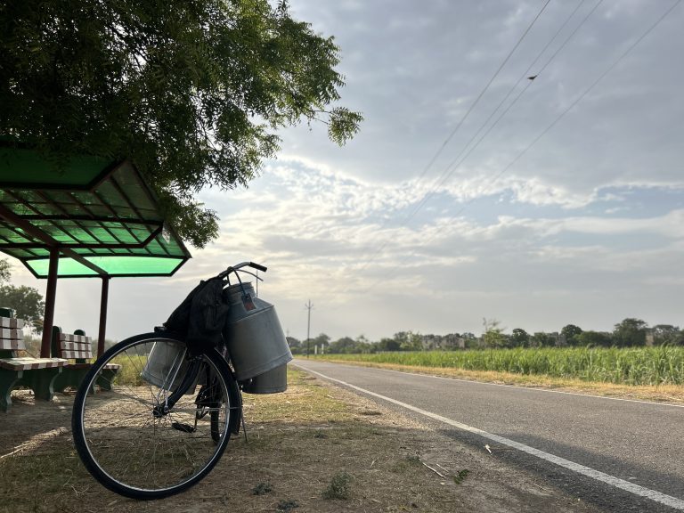 Photo by Pranjal Kasnia