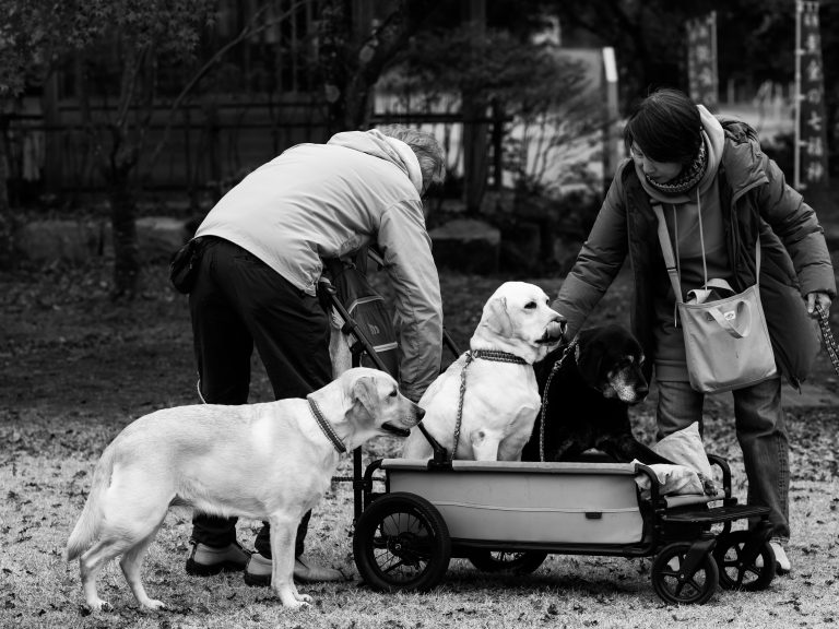 Street photo in Fujikawaguchiko, Japan by Liburek Nyvltu