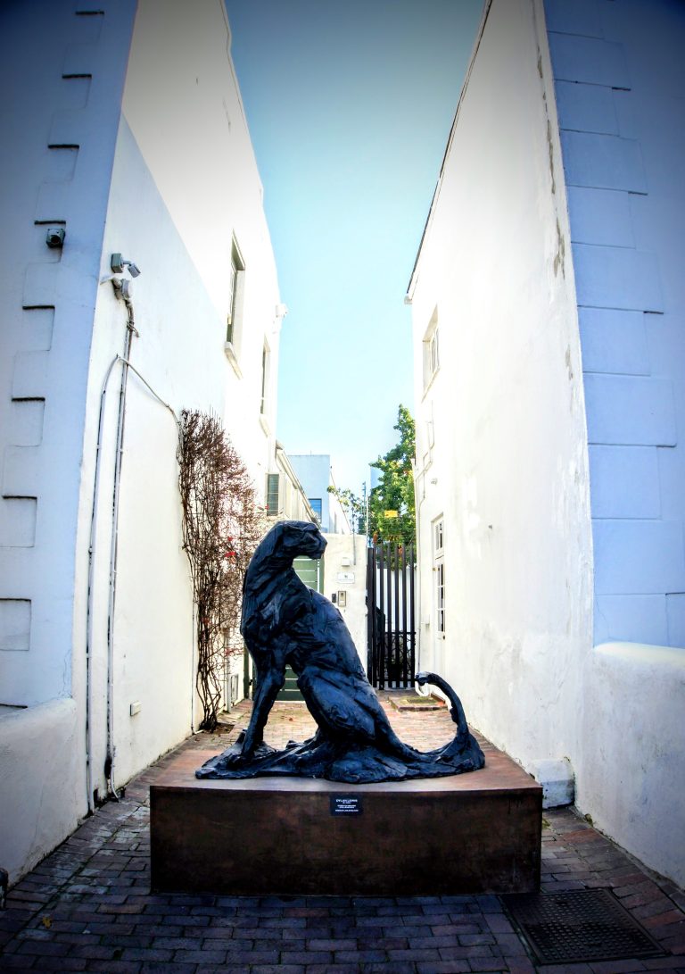 Street photo in Stellenbosch, South Africa by Rob Ridout