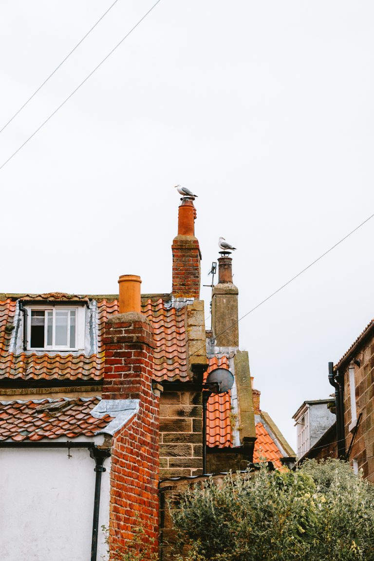 Street photo in Whitby, United Kingdom by Adam Featherstone