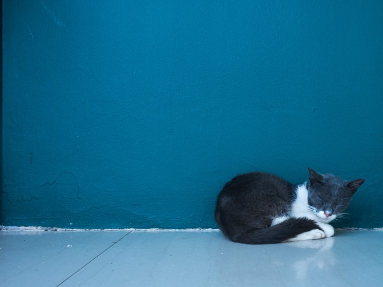Street photo in Kota Tinggi, Malaysia by Colin Tan