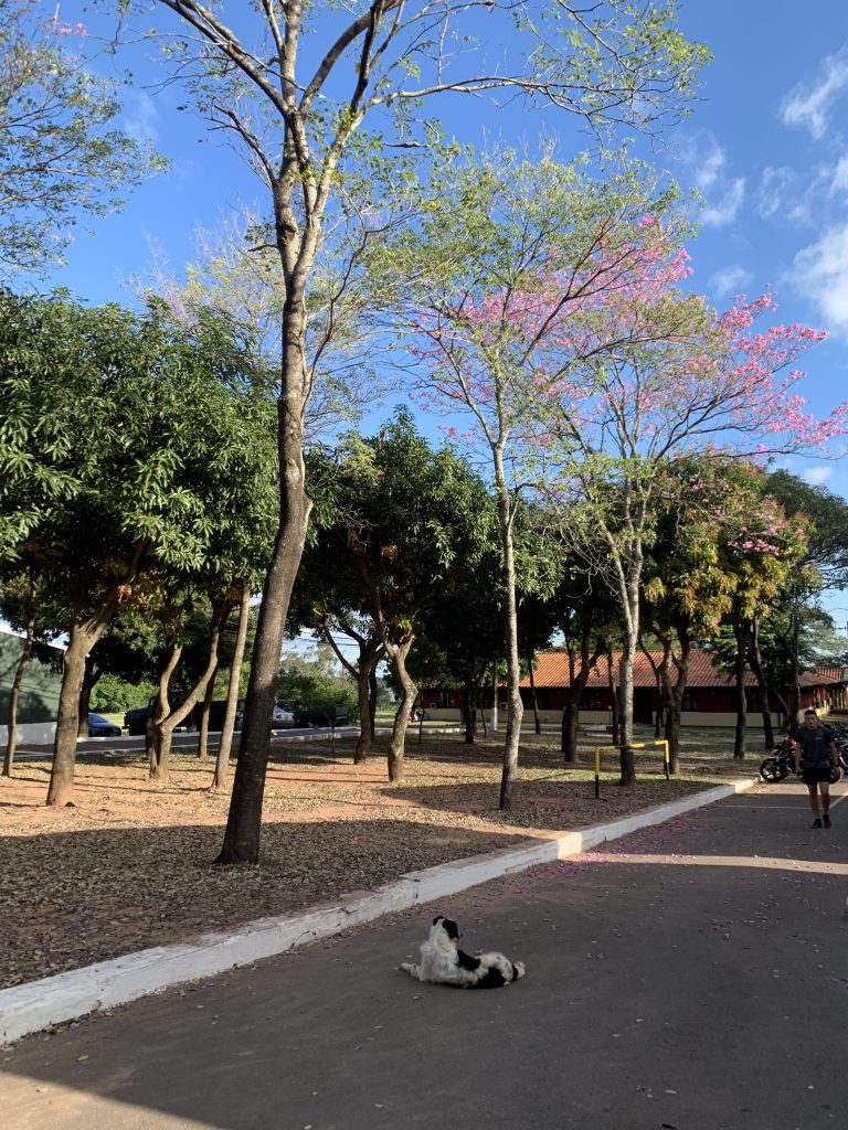 Street photo in Asunción, Paraguay by Katia Koopmann