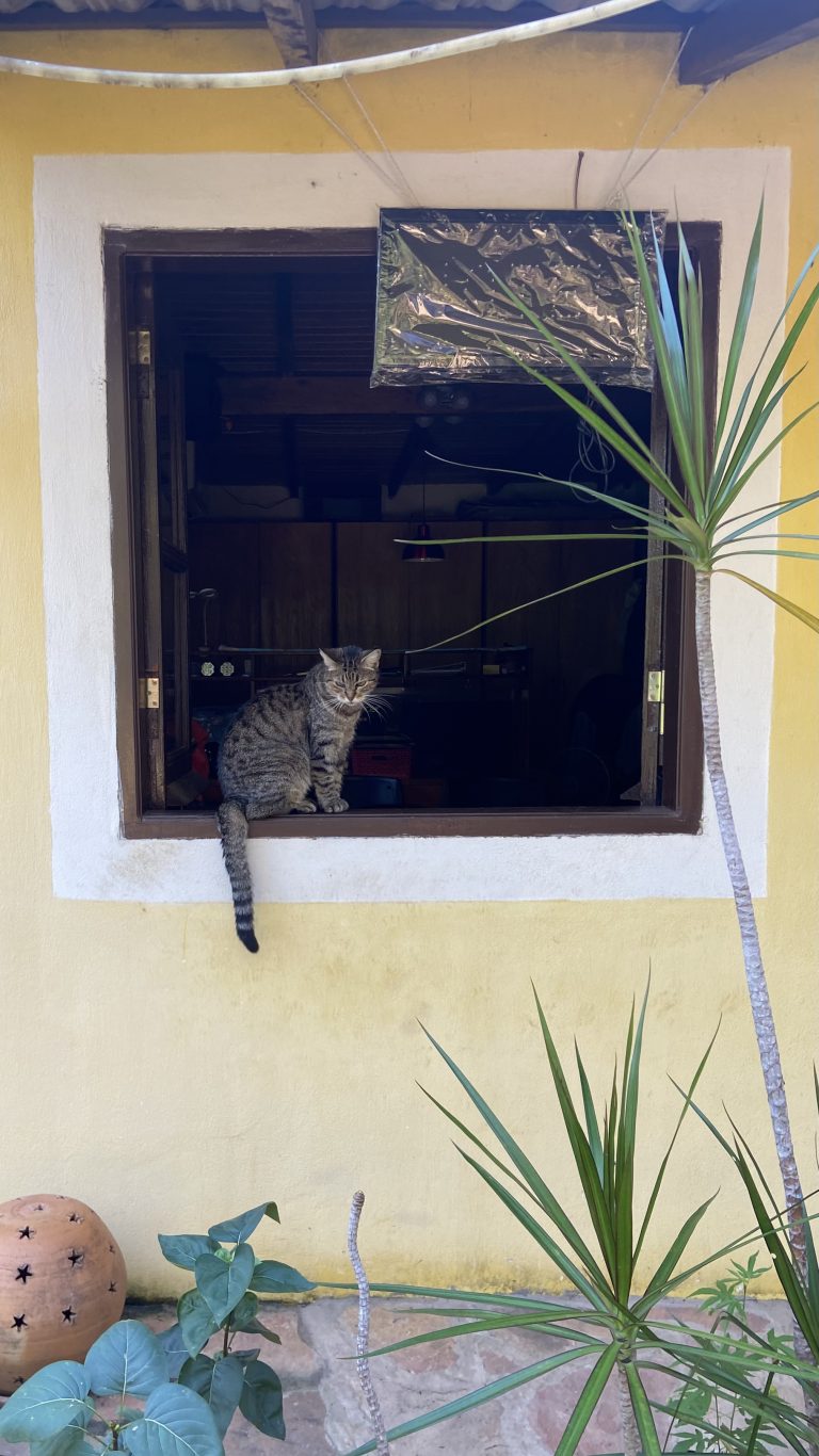Street photo in Villarrica, Paraguay by Katia Koopmann