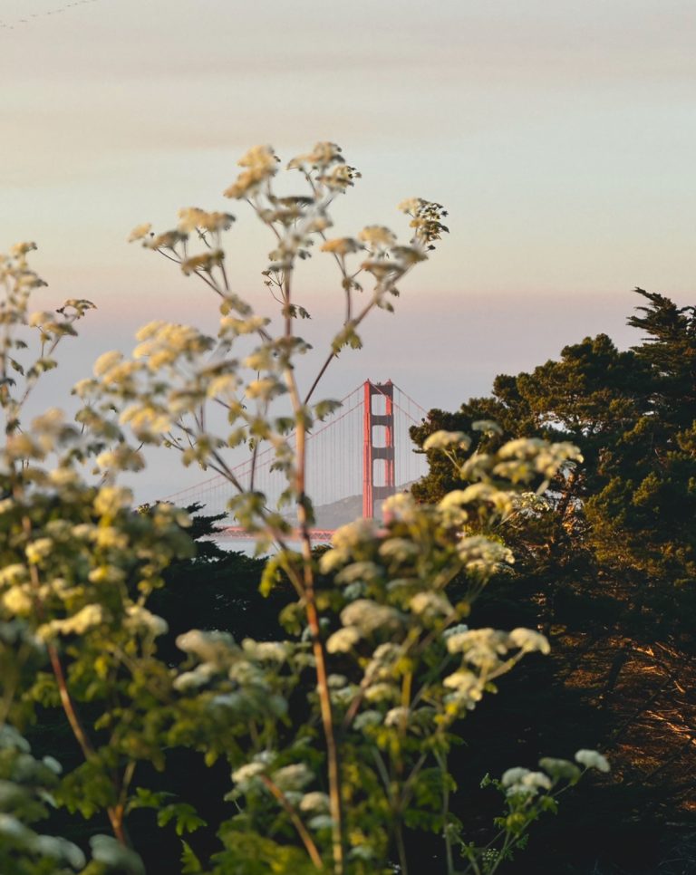 Street photo in San Francisco, United States by Drew Shetter