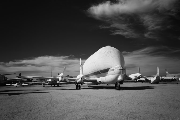 Photo by Robert Clinton