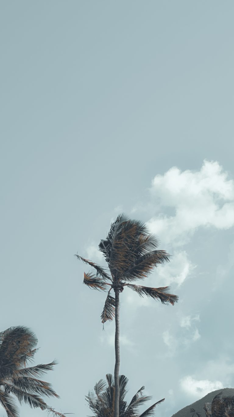 Street photo in Pangasinan, Philippines by Pau Palles