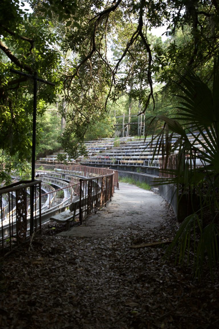 Street photo in Jekyll Island, United States by Nik Leach