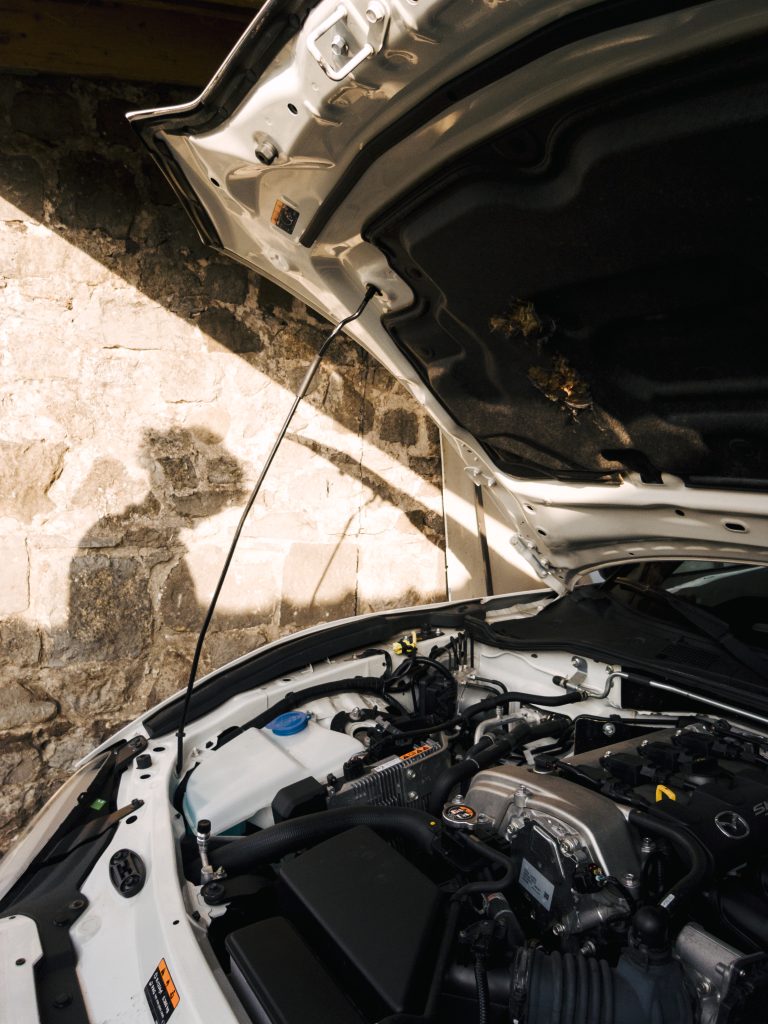 Photo by Hugo Fiévez