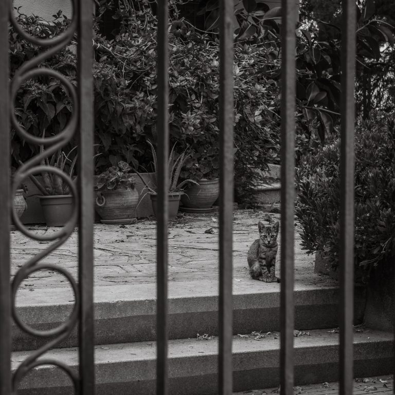 Street photo in Tarragona, Spain by Ignacio Rojas Poggini
