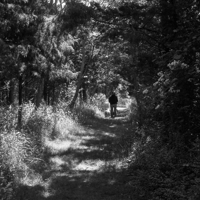 Street photo in Southold, United States by Rich Messiana