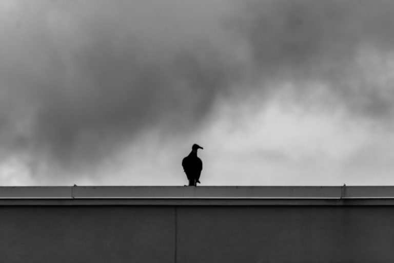 Street photo in Cary, United States by Dan Lawyer