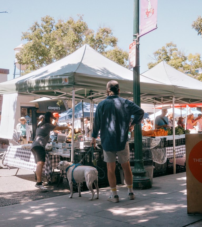Street photo in Campbell, United States by Daniel De La Torre