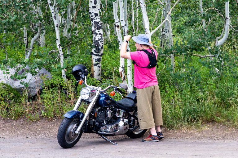 Street photo in Alpine Loop Scenic Byway, United States by Dan Lawyer