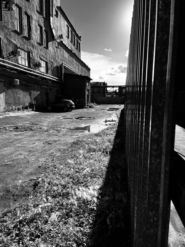 Photo by Alexander Zorin