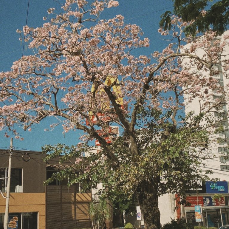 Street photo in San José, Costa Rica by Joshua Vergara
