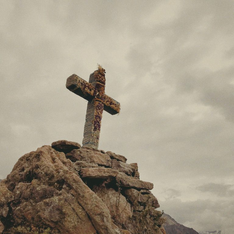 Photo by Joshua Vergara