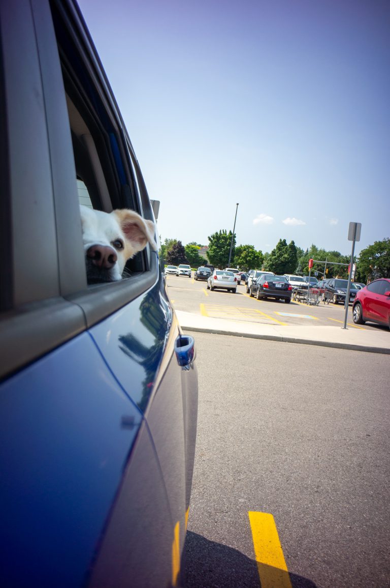 Street photo in Oakville, Canada by Orlando Dasilva