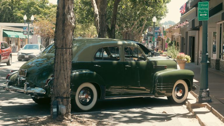 Street photo in Novato, United States by Erick Araiza