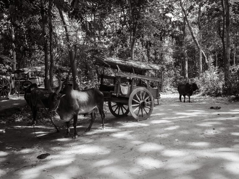 Street photo in Sigiriya, Sri Lanka by Colin Tan