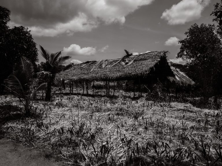 Street photo in Sigiriya, Sri Lanka by Colin Tan