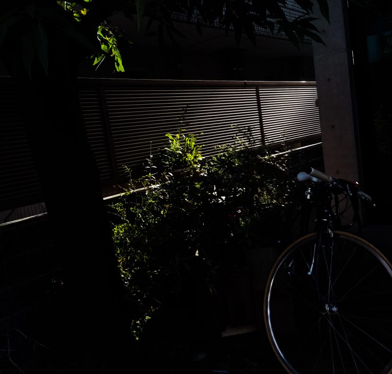 Photo by Satoshi Osuga