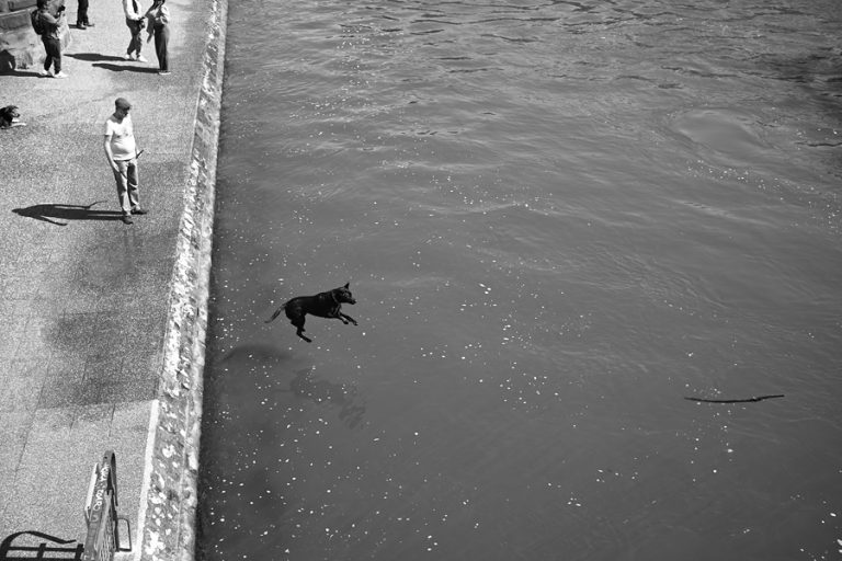 Street photo in Strasbourg, France by dp219ers dp219ers