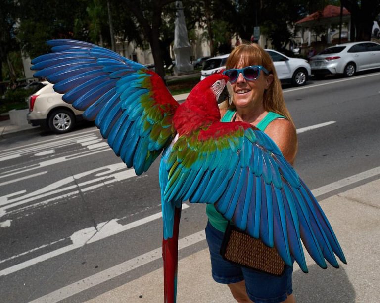 Street photo in St. Augustine, United States by Joel Howell