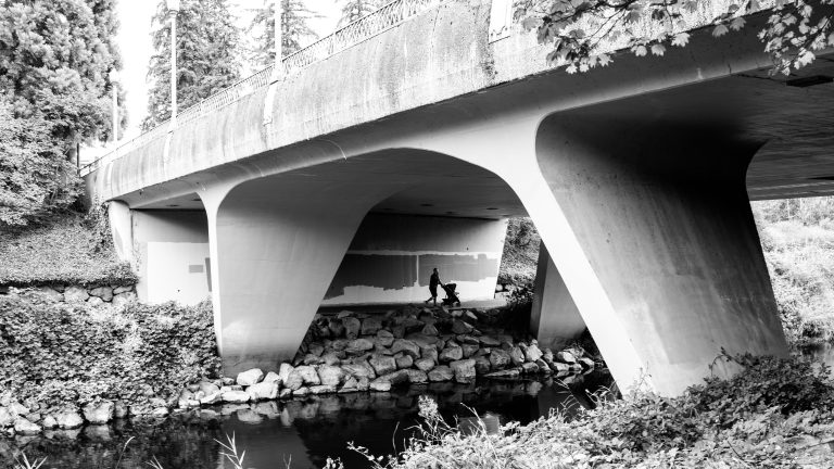 Street photo in Redmond, United States by Dan Lawyer