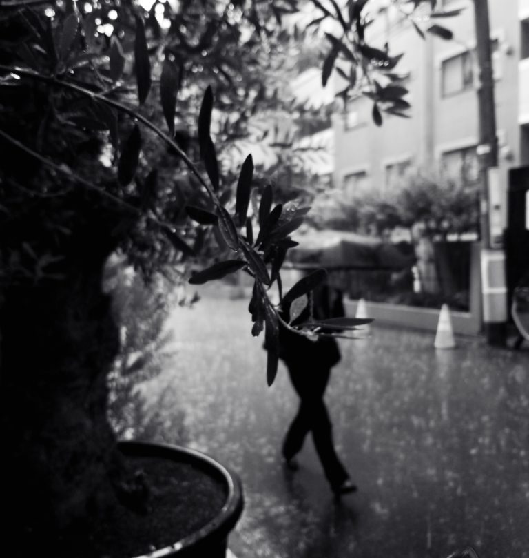 Photo by Satoshi Osuga